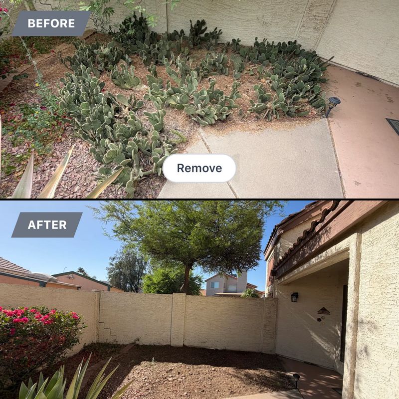 Residential Landscaping