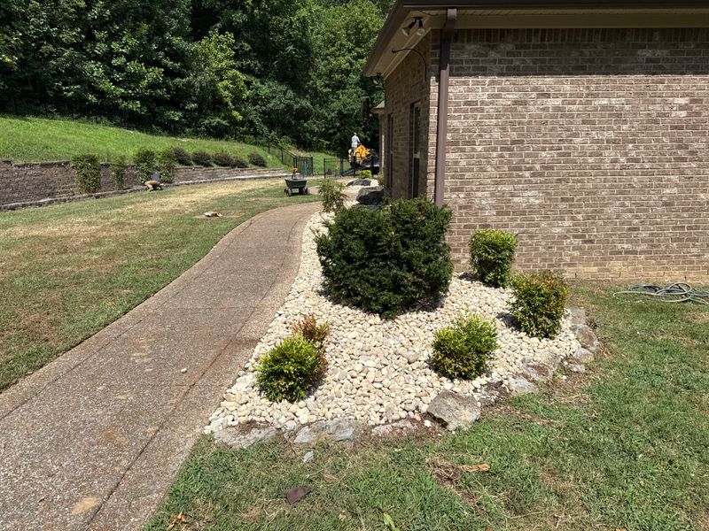 Tree & Shrub Care