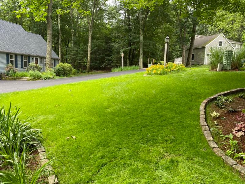Hydroseeding & Lawn Installations