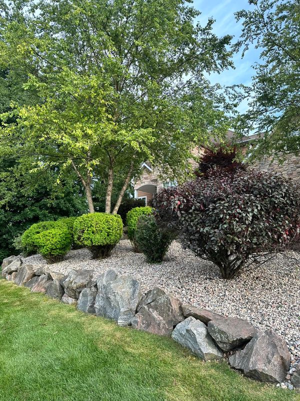 Shrub Trimming