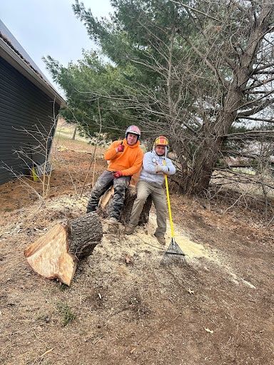 Stump Removal