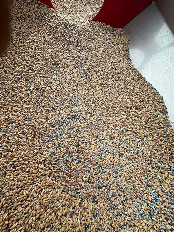 Seeding, Fertilizing and Herbiciding