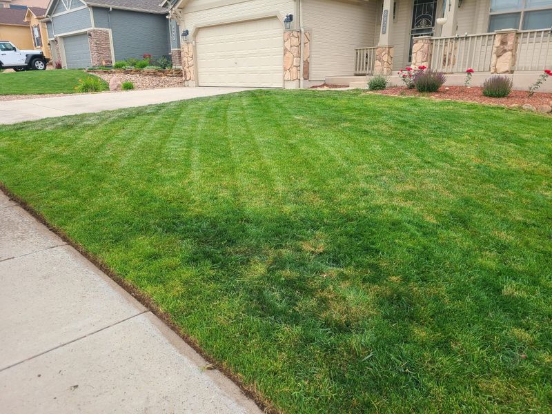 Lawn Maintenance