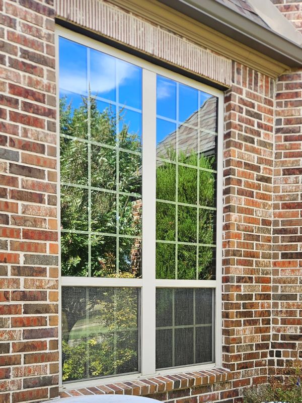 Residential Window Tint