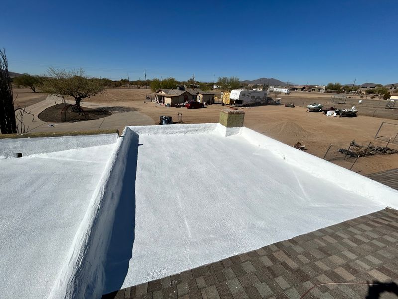 Foam