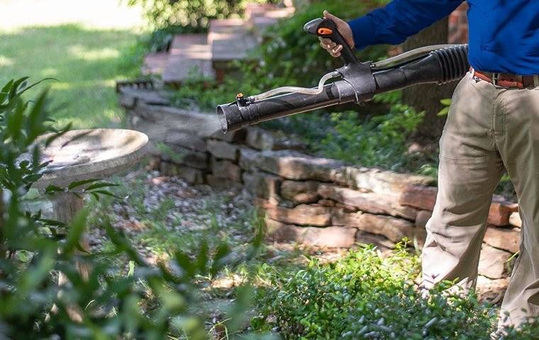 Bug & Insect Control (Outdoors)