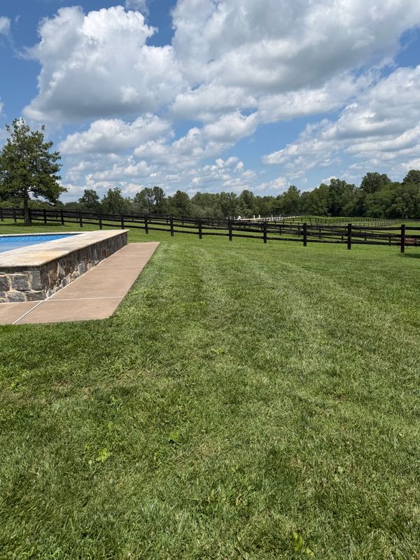 Lawn Maintenance
