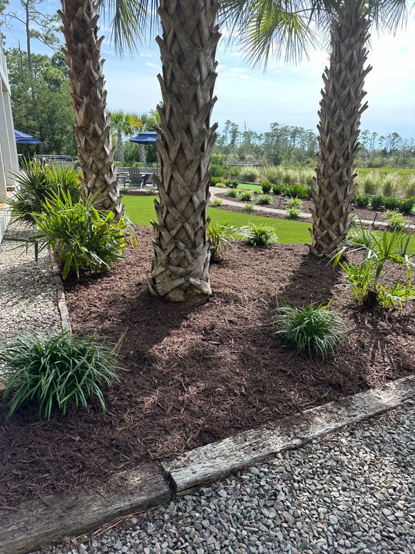 Mulch Installation