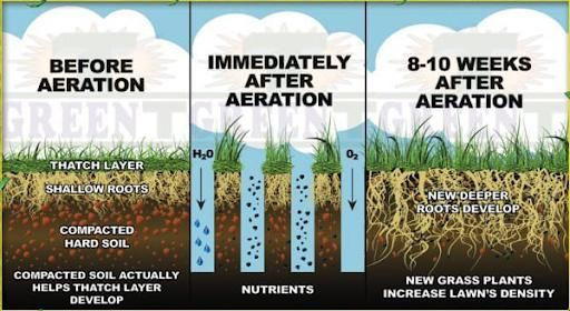 Lawn Aeration