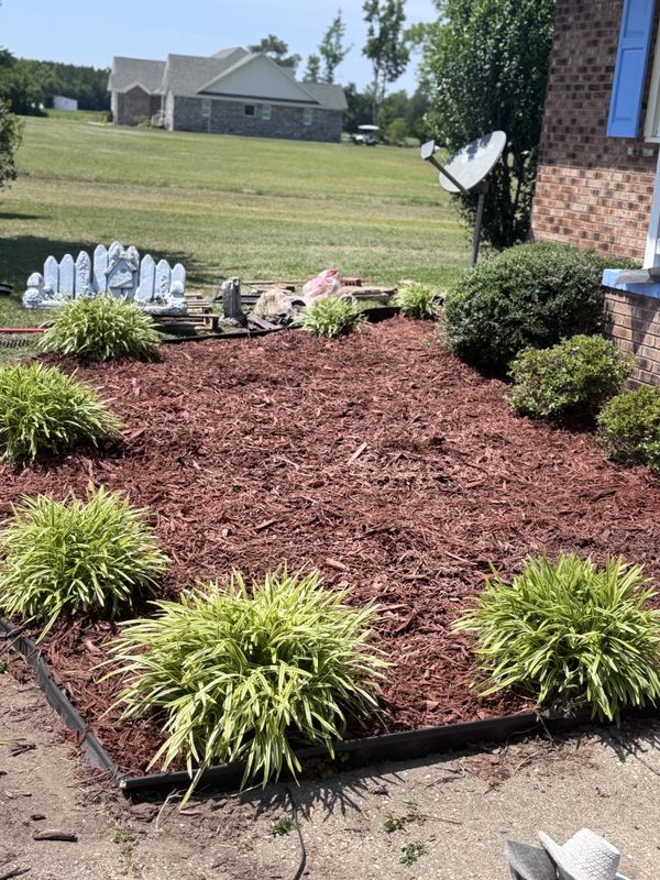 Landscape Design