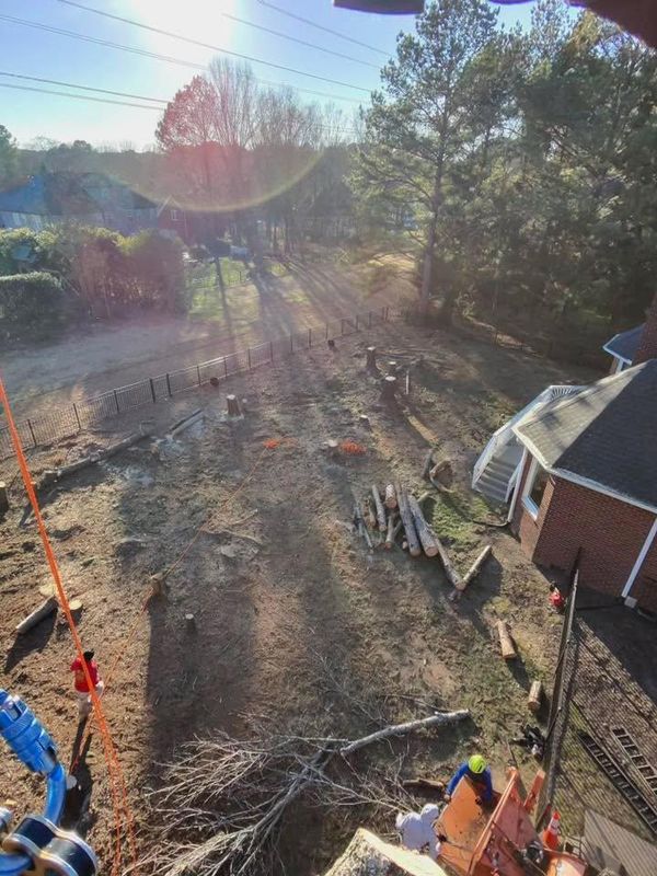 Stump Removal