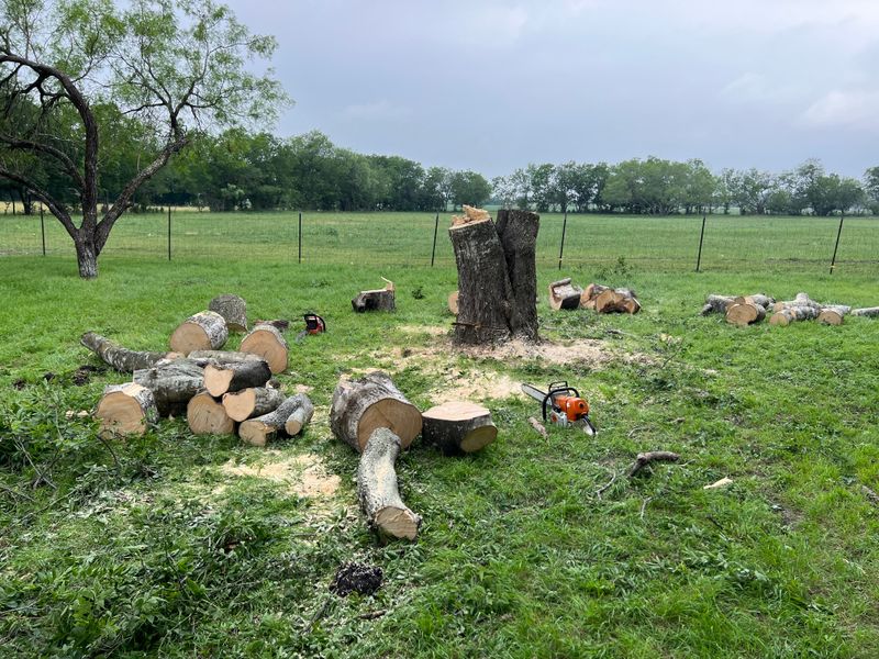 Fall Clean Up