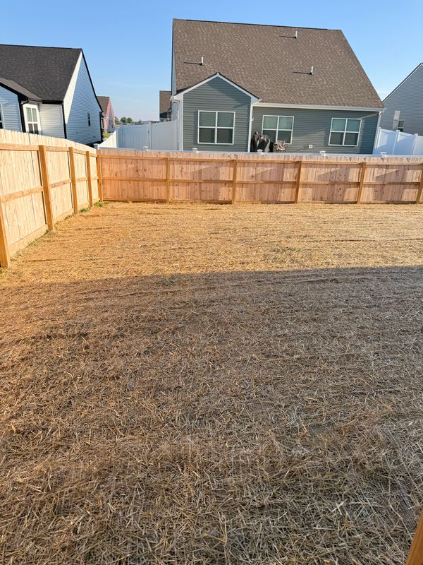 Lawn Seeding & Over-seeding