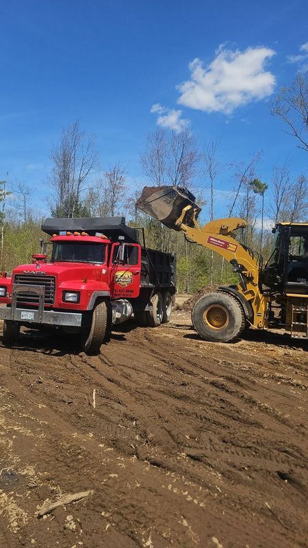 Land Clearing
