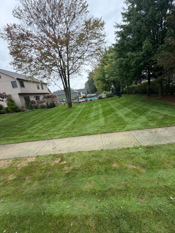 Lawn Mowing