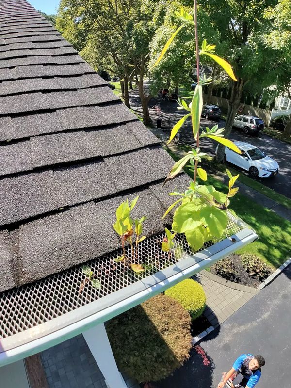 Gutter Cleaning