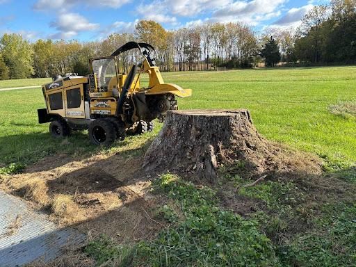 Stump Removal