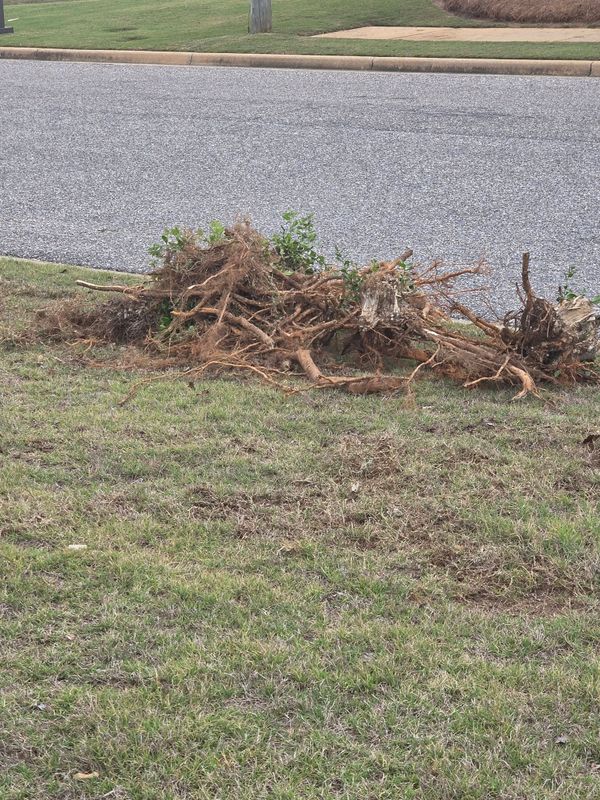 Junk Removal