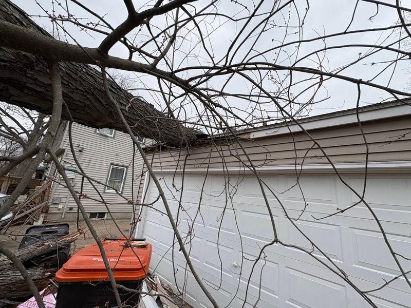 Storm Damage Mitigation