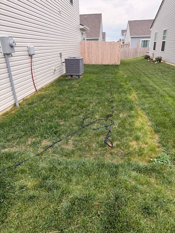 Lawn Seeding & Over-seeding