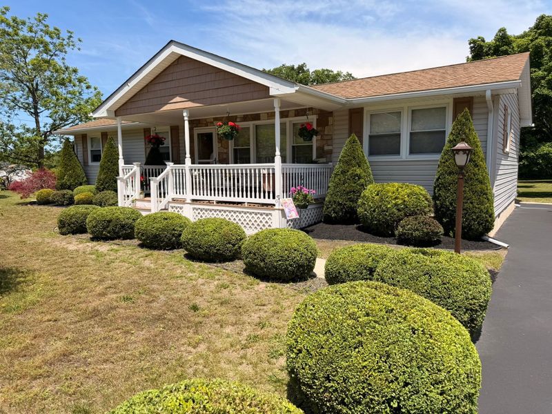 Shrub Trimming