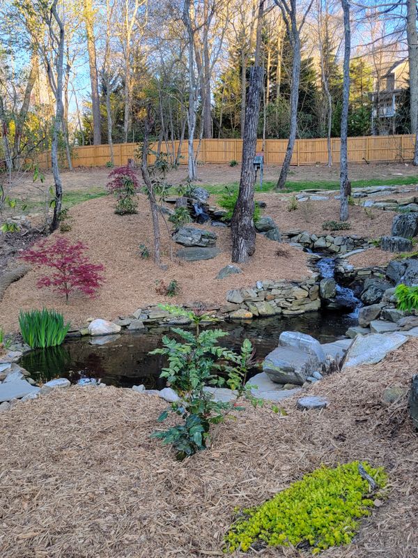 Mulch