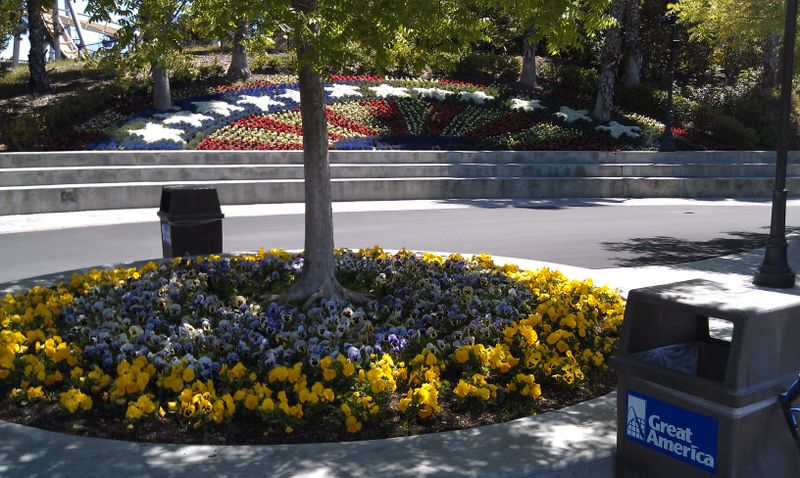 Themed Horticultural Designs