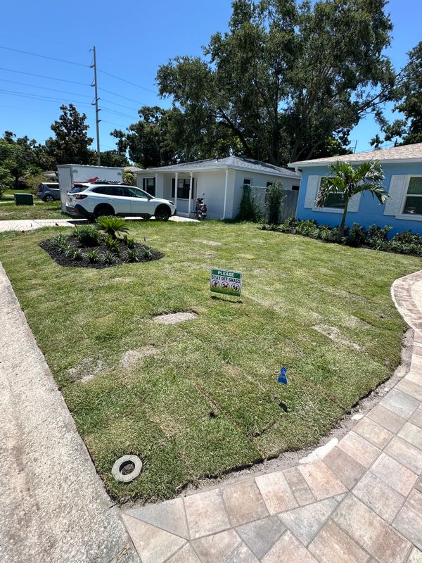 Landscape Design