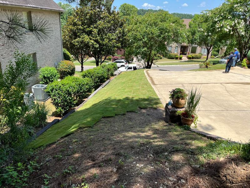 Landscape Design