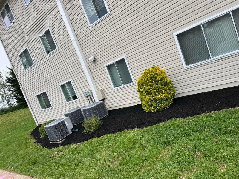 Landscaping 