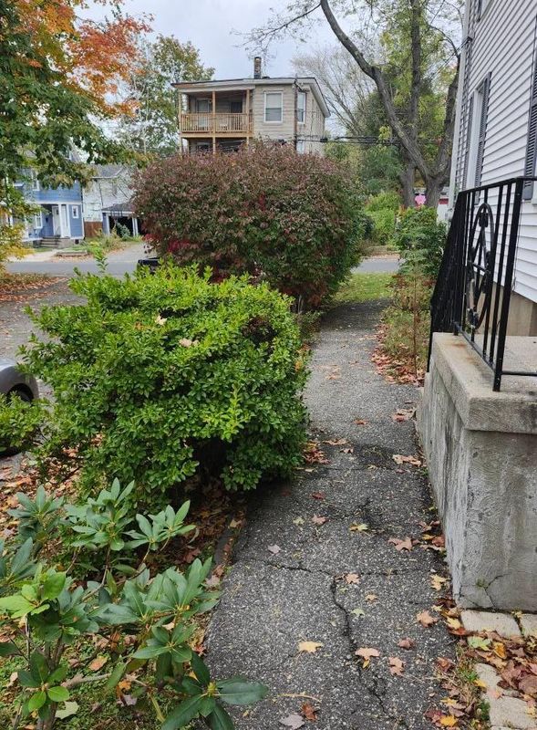 Fall Cleanups