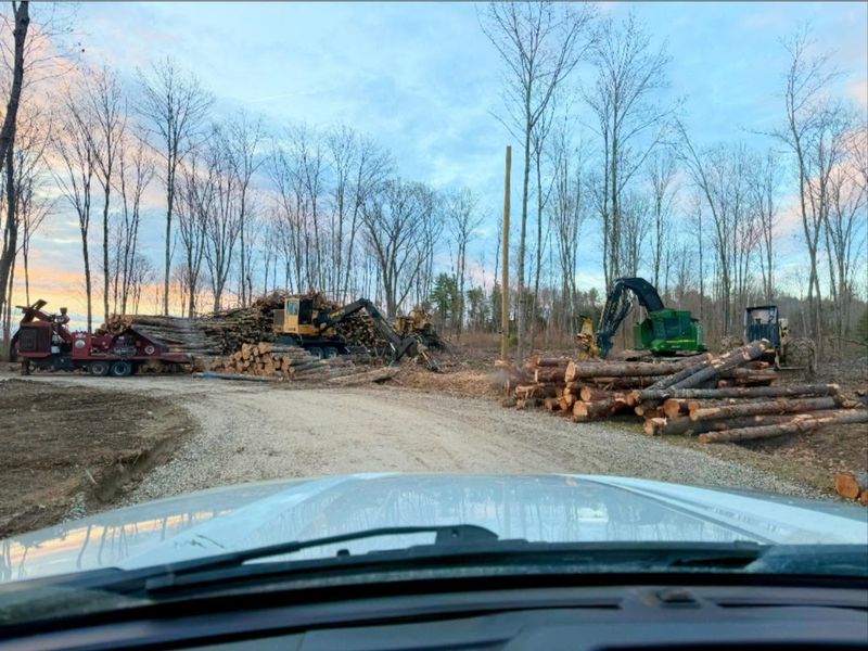 Land Clearing
