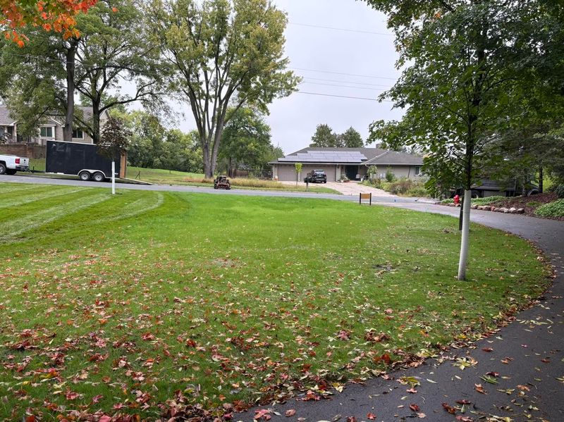 Hydroseeding & Overseeding