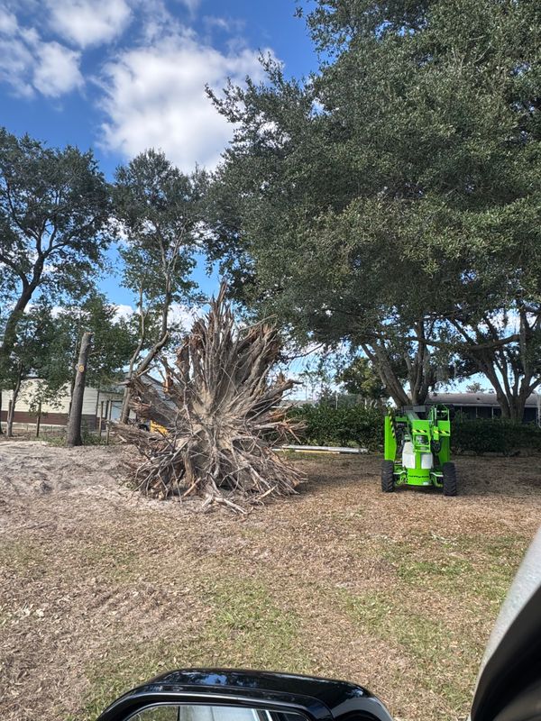 Land Clearing