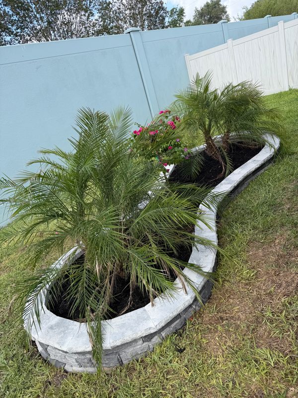 Landscape Design