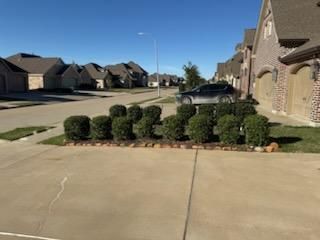 Mulch Installation