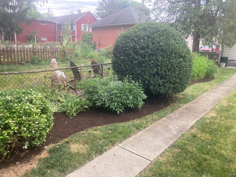 Landscape Design