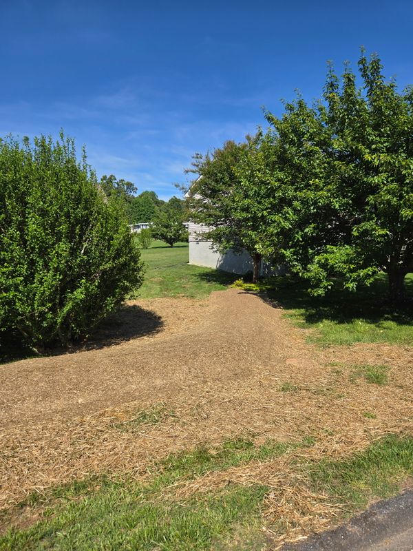 Soil Management and Mitigation