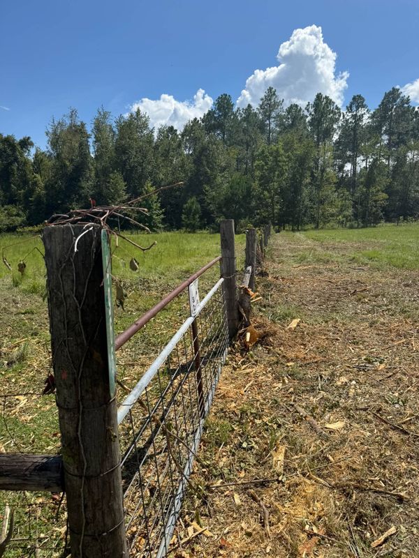 Land Clearing