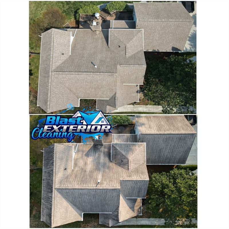 Roof Cleaning