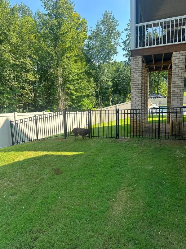 Fence Repair
