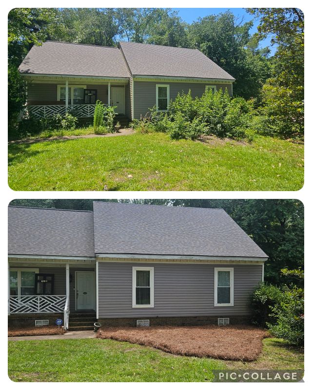 Before and After