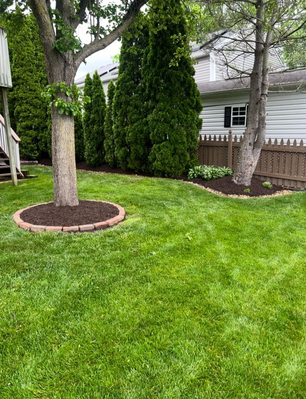 Lawn Maintenance