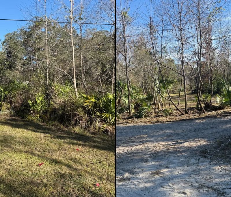 Land Clearing