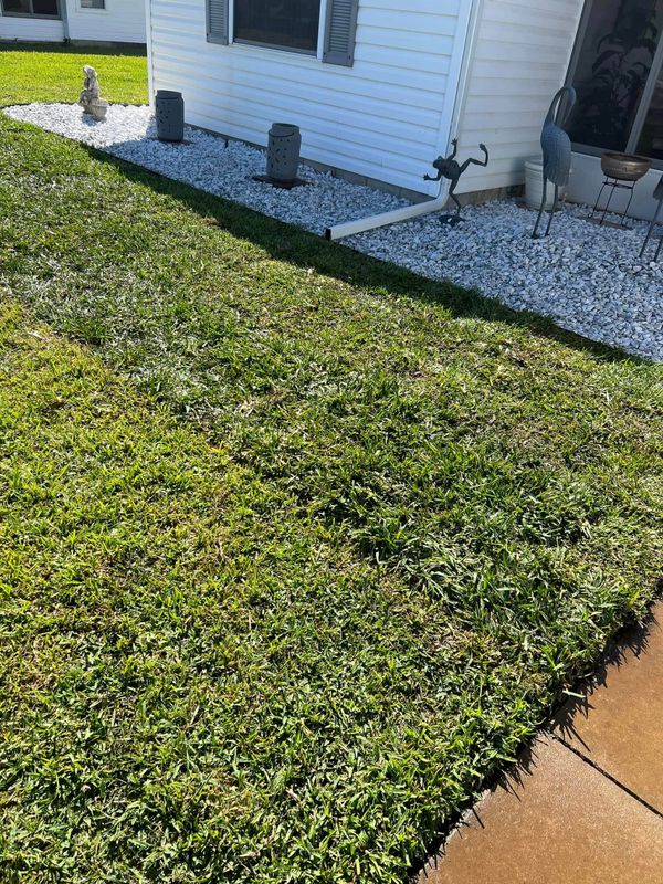 Lawn Care