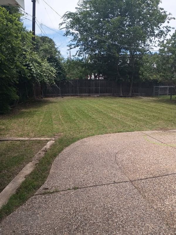 Lawn Mowing