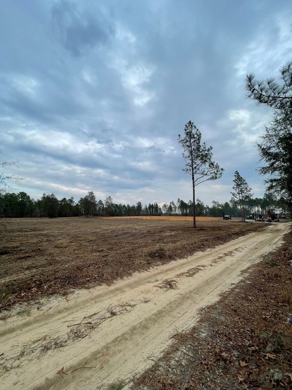Land Clearing and Site Preparation