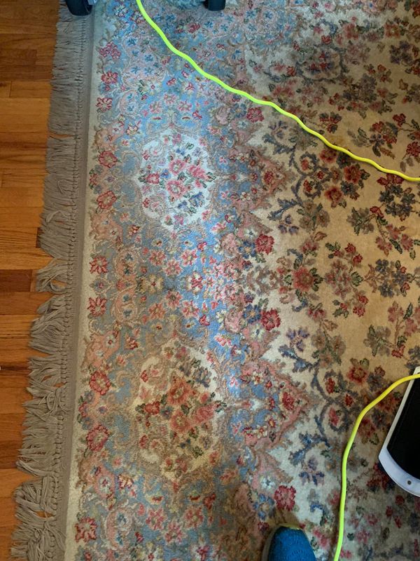 Carpet Cleaning