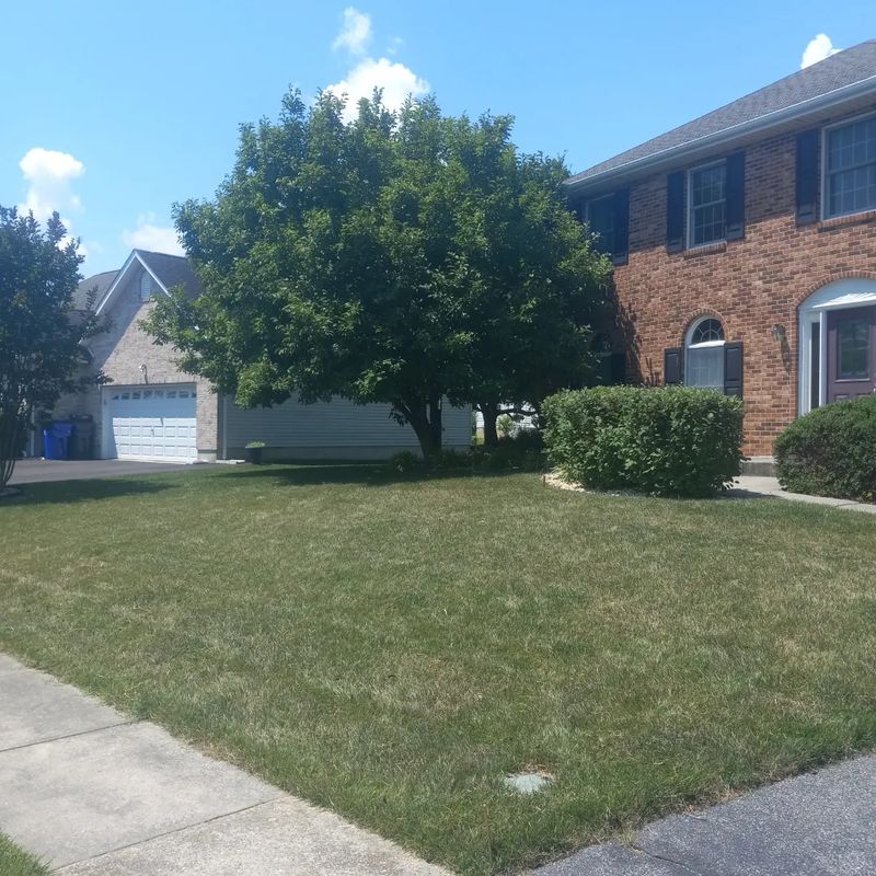 Lawn Care