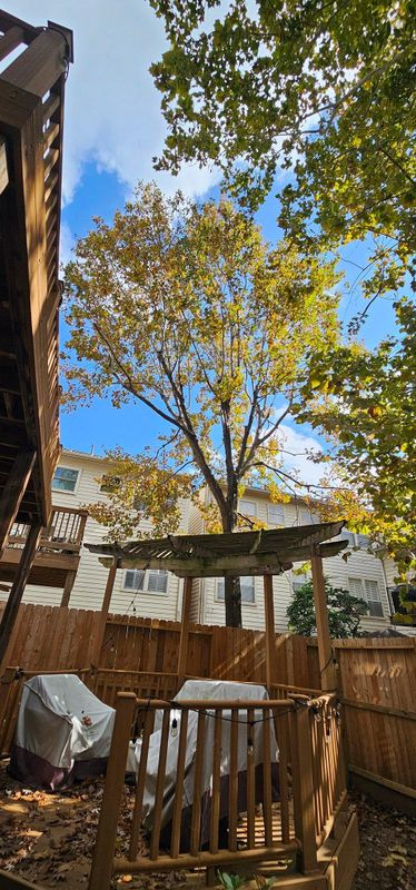 Tree Trimming